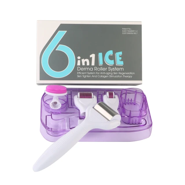 High Quality Skincare Device Customized 2mm 6 in 1 Ice Roller Kit Replaceable Head 0.5mm 2mm Derma Roller System