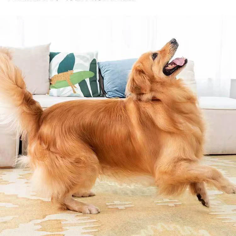 Высококачественный герметичный жевательный стейк Venison 100% товары для кошек сухие натуральные снэки собак еда домашних животных от