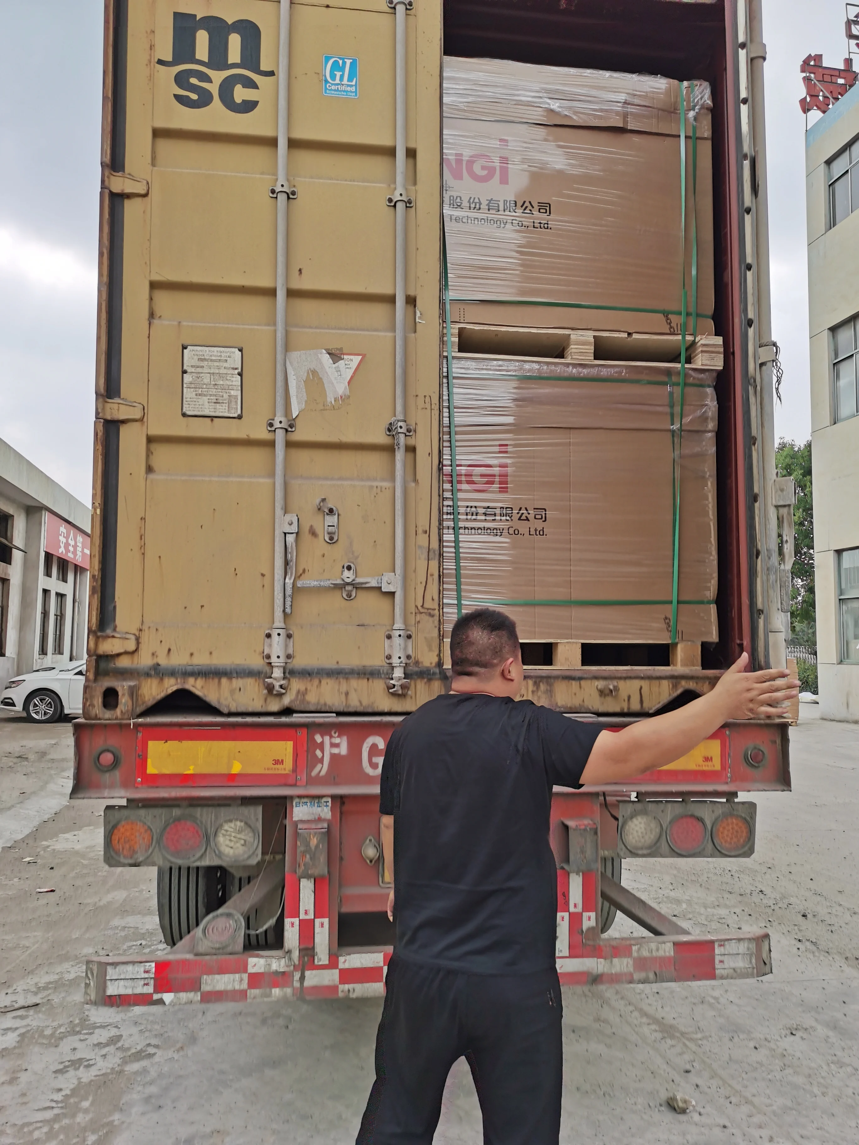 Longi Solar 455w 450w 445w 440w 435w 430w 425w 144 Cell Mono Solar Panel PV Module