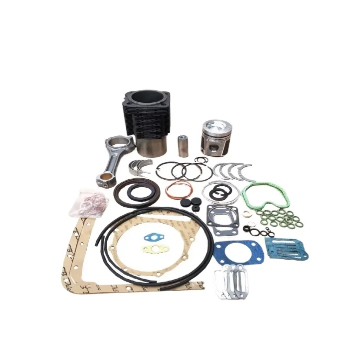 Construction machinery diesel engine spare parts rebuild overhaul repair kit 914 FL914 0423 6676 0423 1513 0293 1512 for Deutz