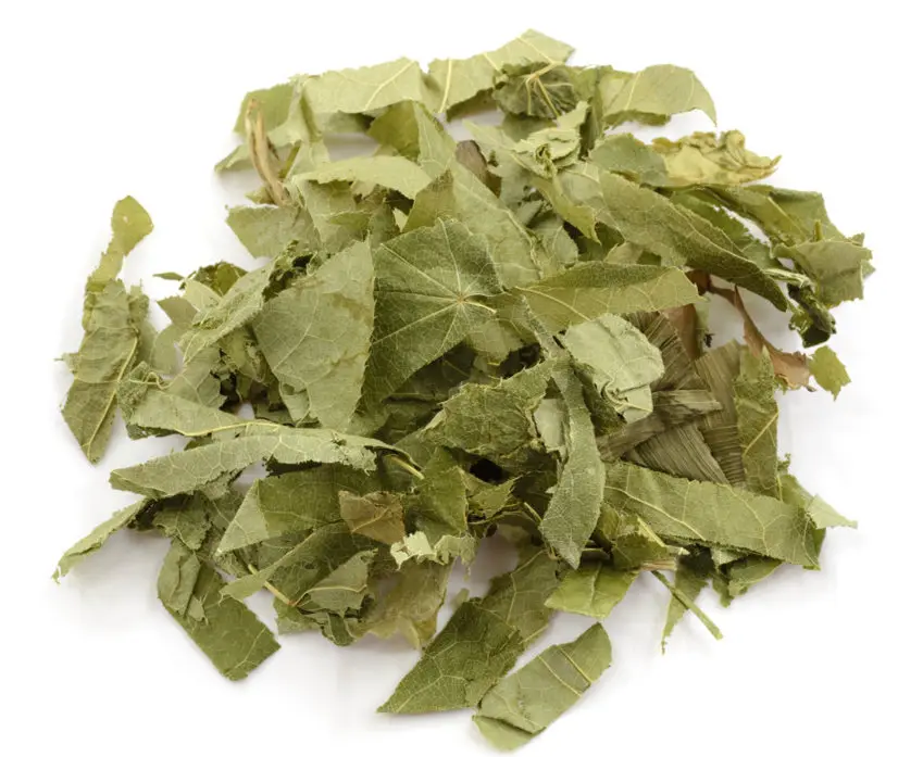 Icariin Powder 5%10%98% Horny Goat Weed Extract Epimedium Leaf Extract