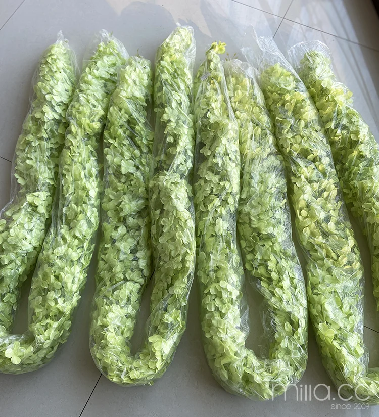 flowers vine package.png