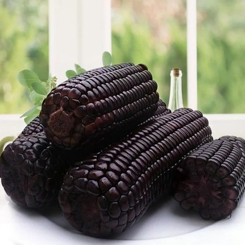 Sweet seasoned purple corn good price for corn oil