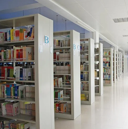 Library Furniture Bookshelves Double Column Wholesale Steel Metal Stainless Steel Key Lock Library School Modern Library Not Rak