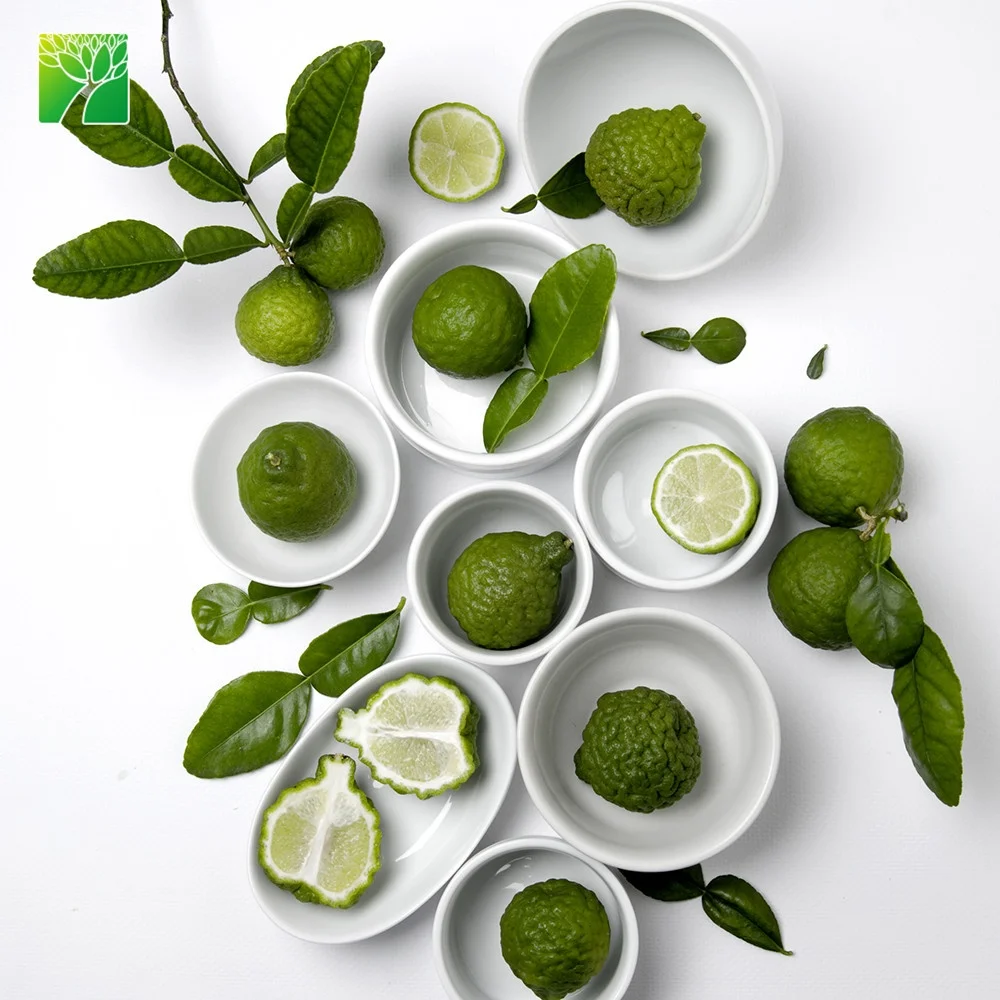 
 Оптовая продажа, сезон весеннего цветения, саженцы цитрусовых, гистрикс, саженцы фруктовых деревьев  