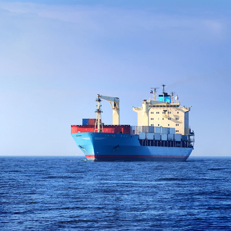 Чек доставка Fba Amazon Sea Freight LCL Aviva Insurance морской экспедитор США