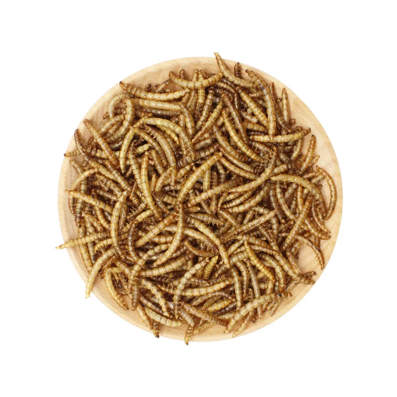 100% pure natural dried insect mealworms wholesale High nutrient and protein for parrot hamster pet food