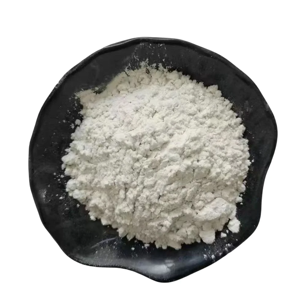 White Diatomite Powder Coating Diatomaceous Earth For Coatings Diatom Mud Art Wall Paint Grade Celite 545