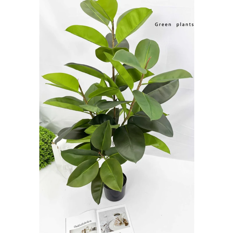 Simulated Indian Banyan Rubber Banyan Potted White Edged Rubber Banyan Bonsai Tree