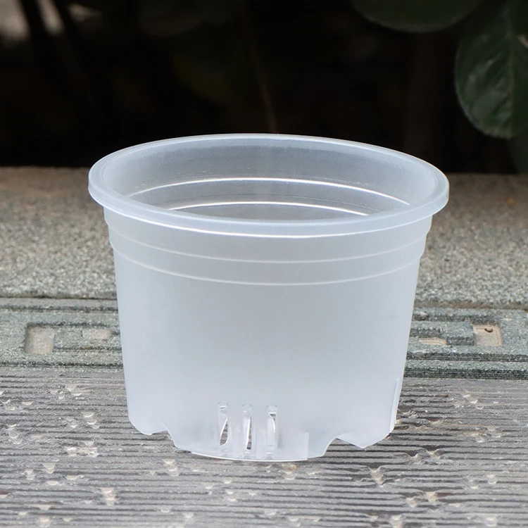 Thick Plastic Clear Transparent Round Phalaenopsis Orchids Breath Slit Garden Plant Flower Pot Mini Planter Plastic Flowerpots