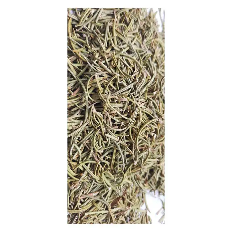 Wholesale Dried Rosemary leaves for Spices and Oil Organic  Rosemary leaves