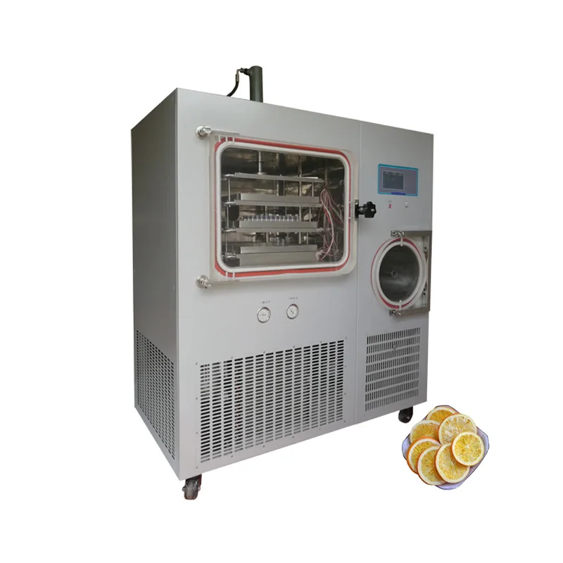 6Kg Small Household Home Use Freeze Dryer Mini Vacuum Lyophilizer With Compressor Vacuum Pump