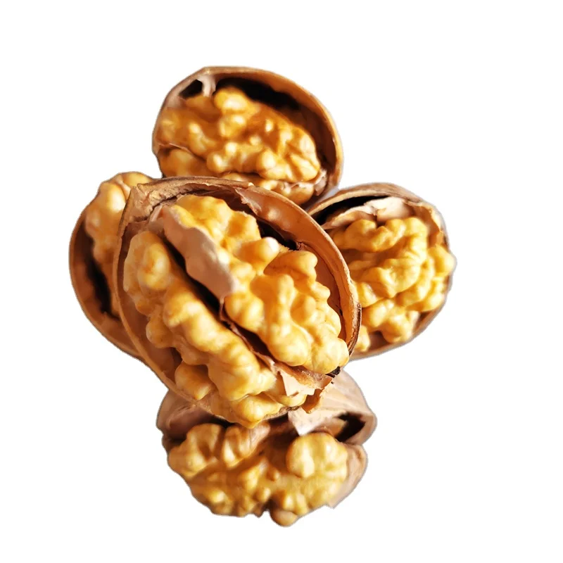 China Factory Supply Quality 185 Walnuts For Export