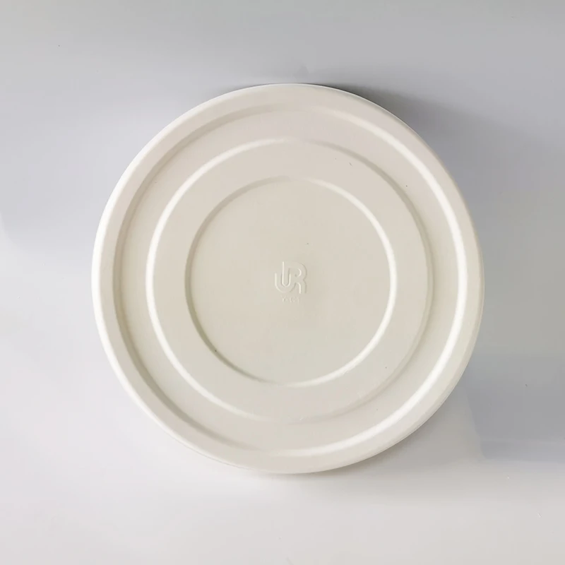 Квадратный биоразлагаемый поднос для тарелок с прозрачными крышками для пикника, барбекю, ужина, свадьбы