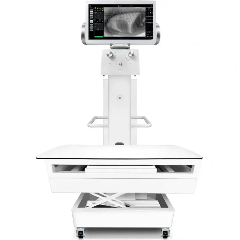Clicnic Veterinary X Ray Machine High Quality Radiography Equipment with Digital Technology for Diagnosis Excellent Value