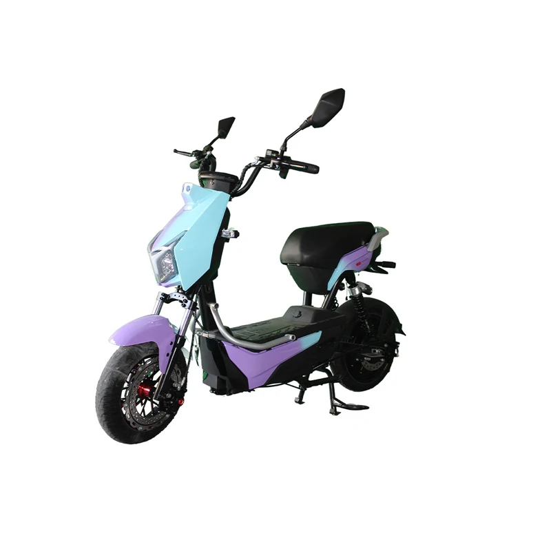 Paige 2024 New Style Hot Sell Long Distance Electric Assistant Bicycle Battery For Kids Ebike Motorcycle E-Bike Yachi