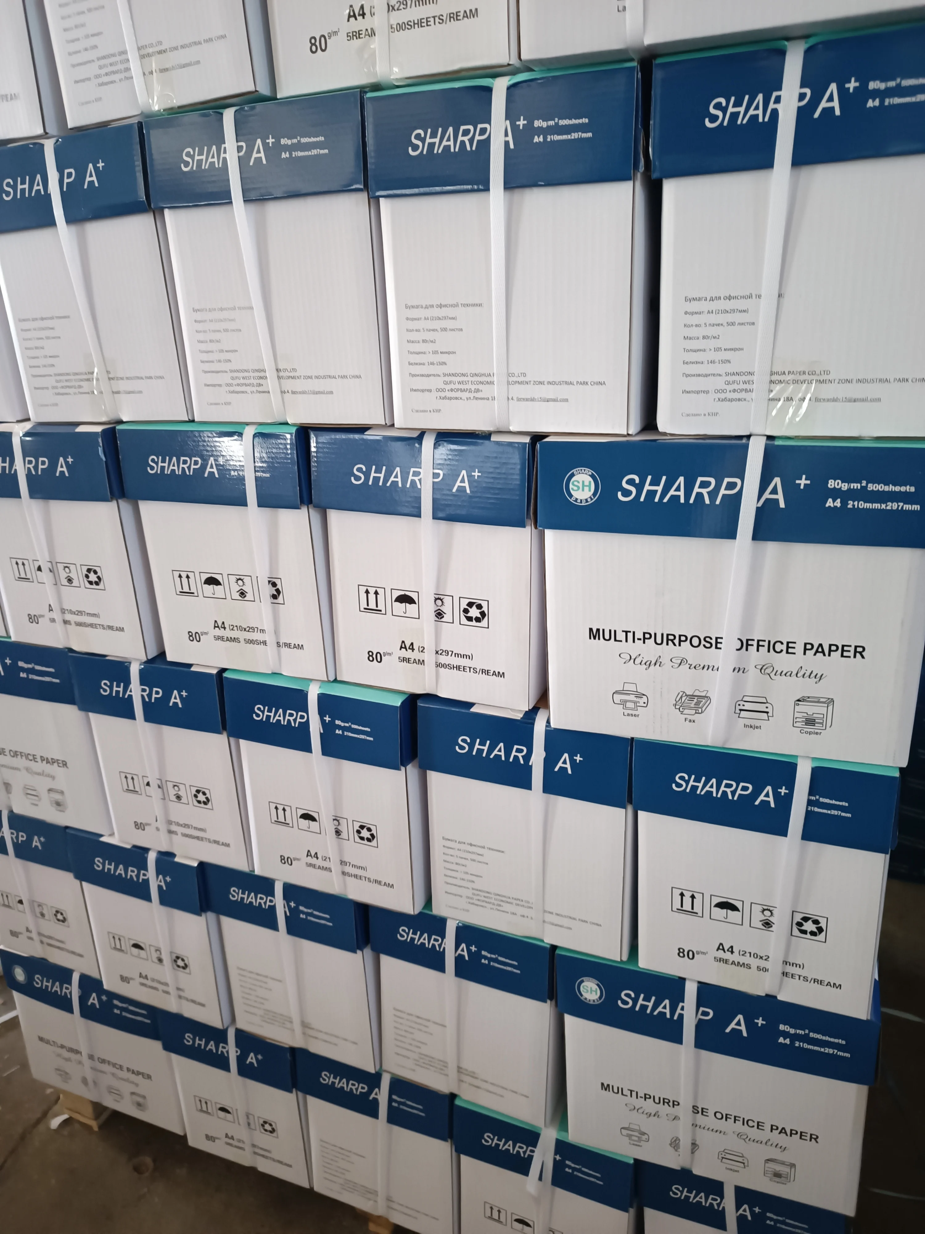 Wholesale Premium Quality Copy Paper Matte Paper Wholesale Best Price A4 Size Paper 70gsm 80gsm A4 White Roll a Ton of A4 70g