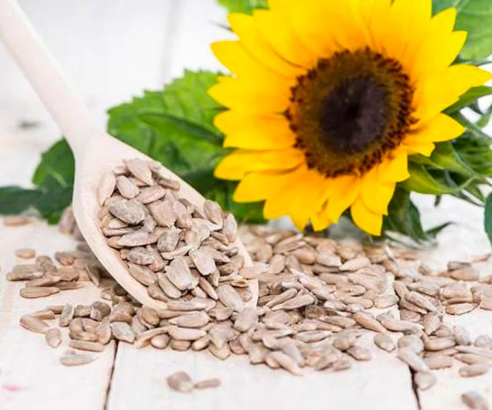 Wholesale 100% Pure Edible Refined Sunflower Oil