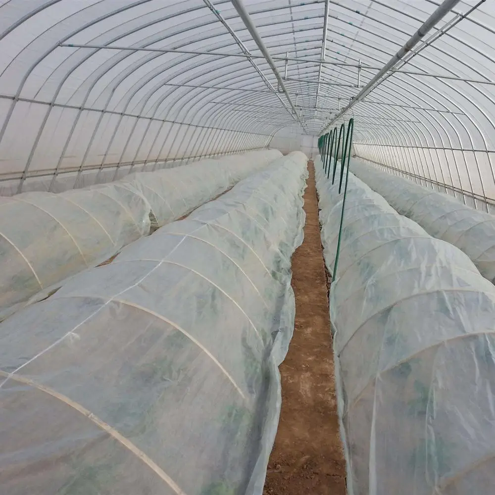 Mini Tunnel Greenhouse with Plastic Film and Galvanized Steel Frame for Vegetables/Flowers