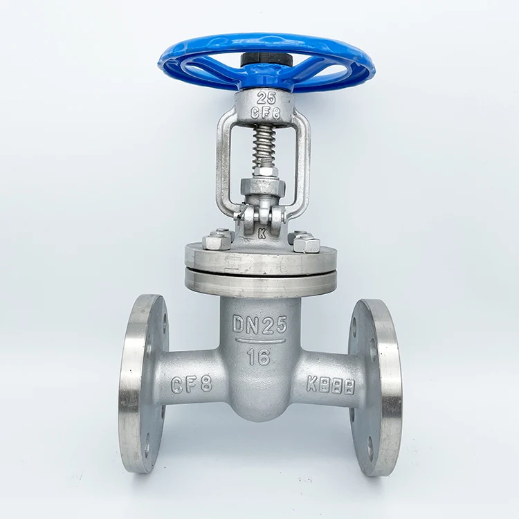304 Stainless Steel Flanged Steam Shut-Off Valve Handwheel Water Steam Oil Flanged End Gate Valve