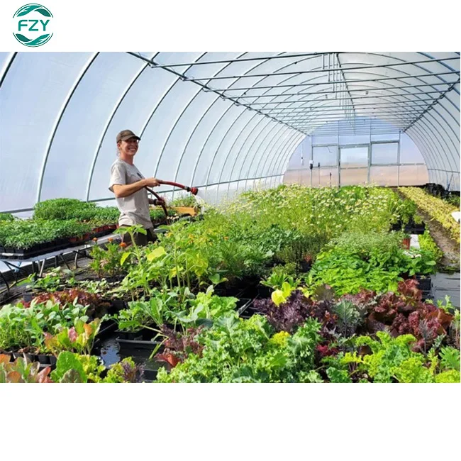 Manufacturer of low-cost flower planting tunnel greenhouse kits film single span greenhouse frame structure