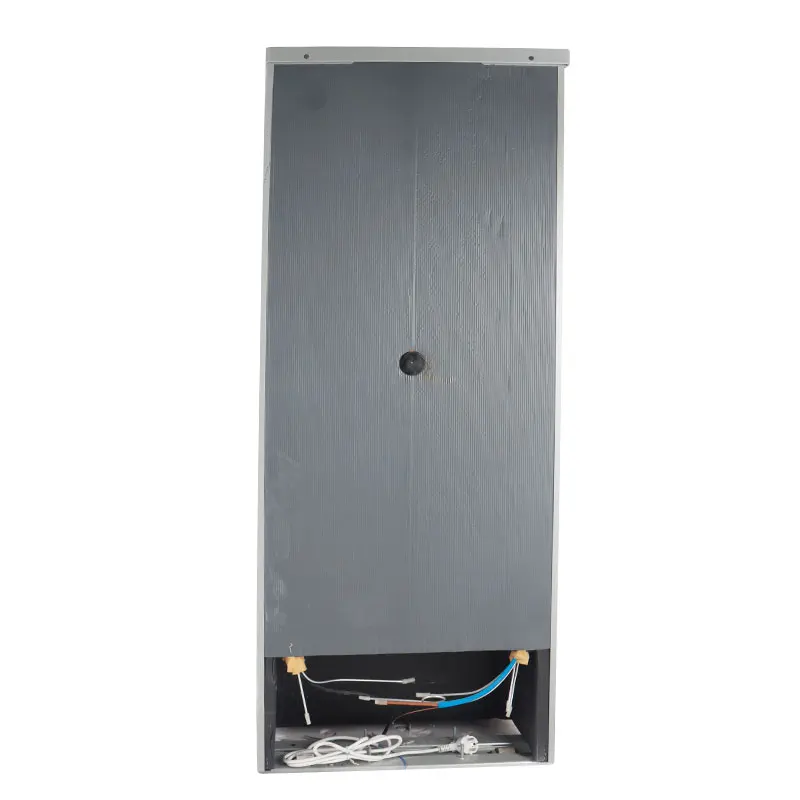 Manufacturer Promotion Inox Color Household Hotel 220/110V Unique Dc Refrigerator