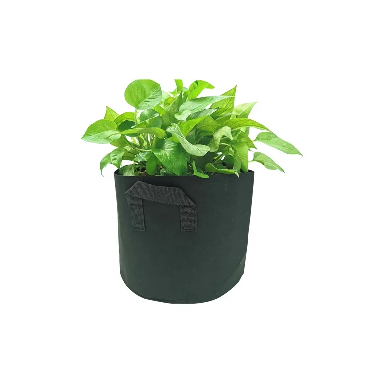Factory Made Fruit Tree Plant Bag White And Black flexible Needle punched PET Felt Planter Grow Bag
