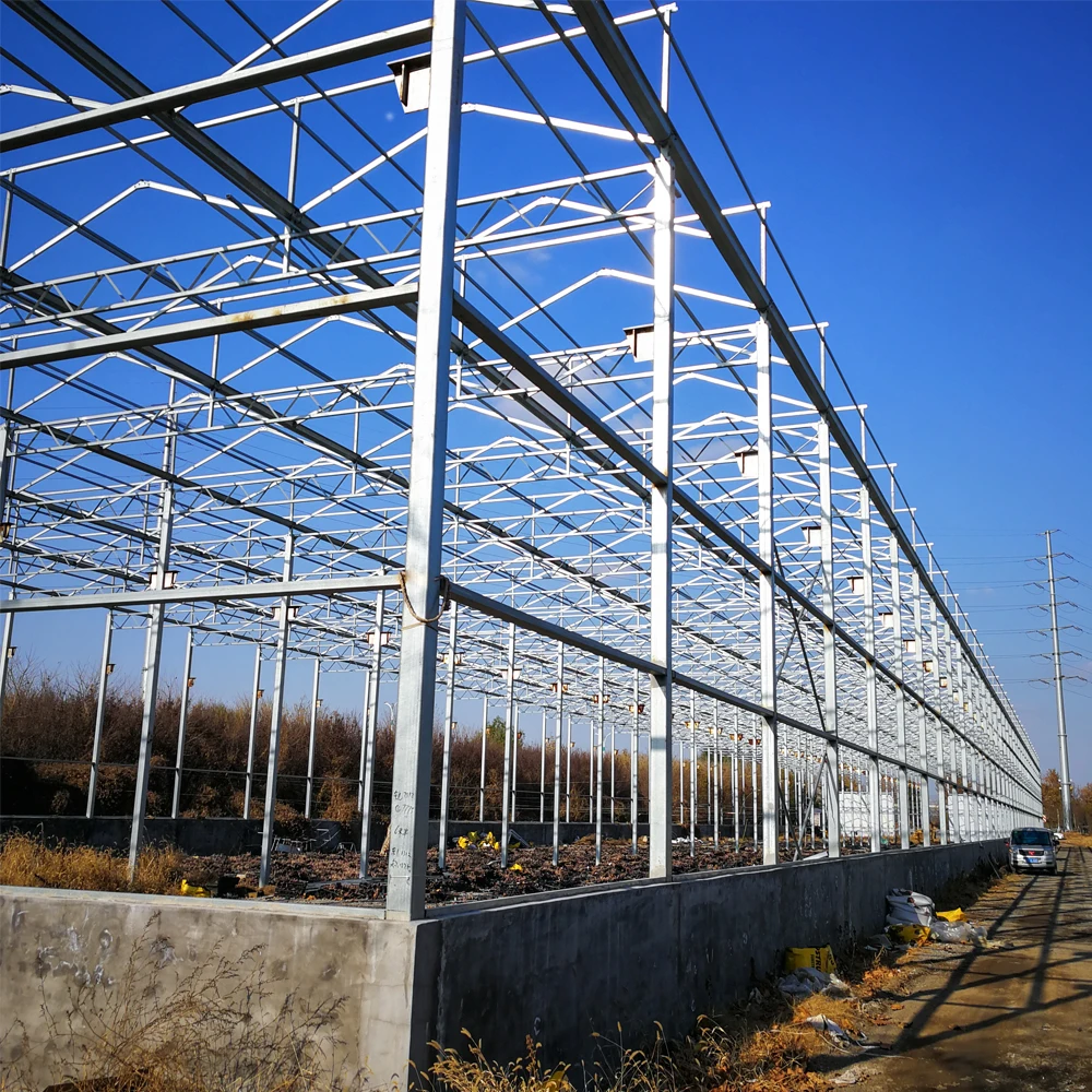 
Agricultural Vegetable Intelligent Glass Greenhouse with Hydroponics System Price 