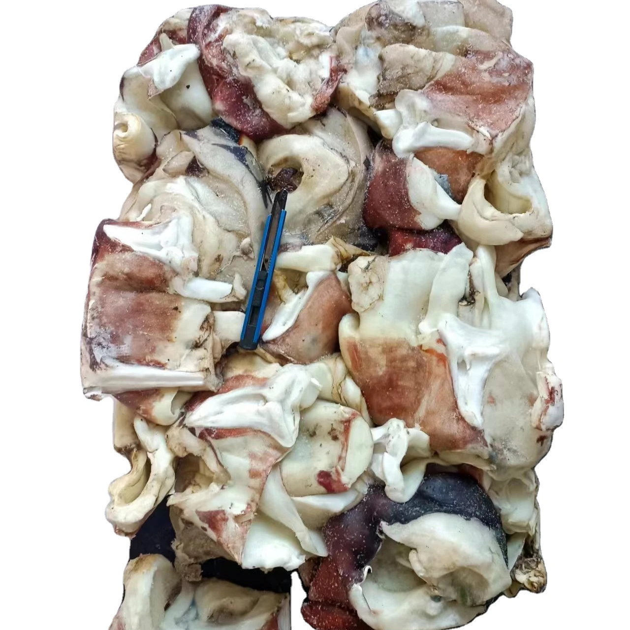 Delicious Chinese Food Dosidicus Gigas Wholesale Giant Squid neck whole cleaned gigas squid calamari neck China seafood supplier