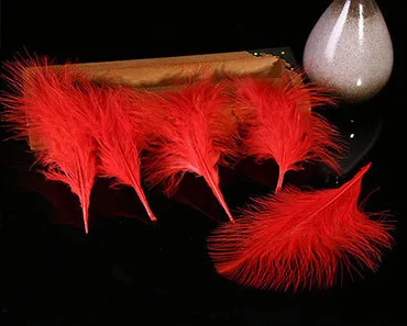 Natural Real Bulk Marabou Turkey Feather for Kid Novelty DIY Craft Accessory Hair Costume Fishing Fly Tying Material   Decor