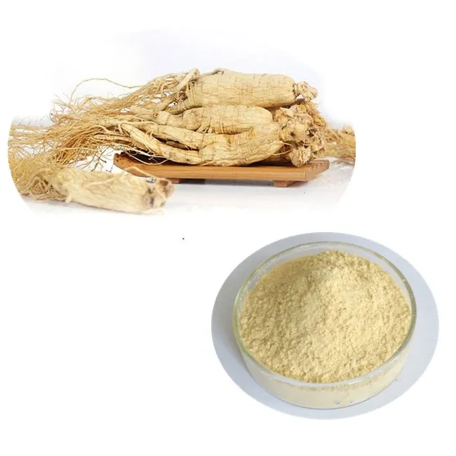Sale Ginseng Extract Powder 5% 25% 50%  Ginsenosides in bulk