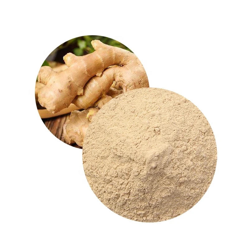 Factory Supply Dry Water Soluble Powder Ginger Extract Powder  Powder Cool Dry Place