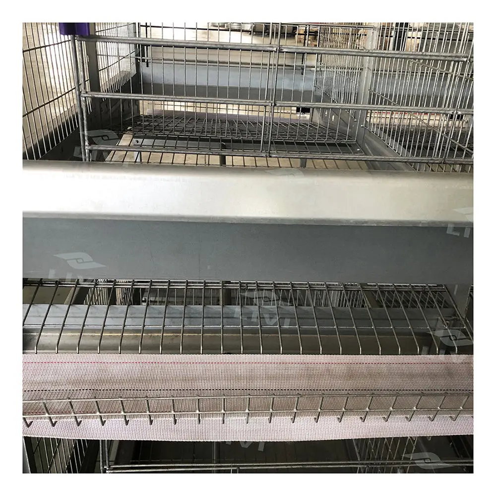 China Factory a Type Laying Hens Battery Chicken Cage With Chicken House