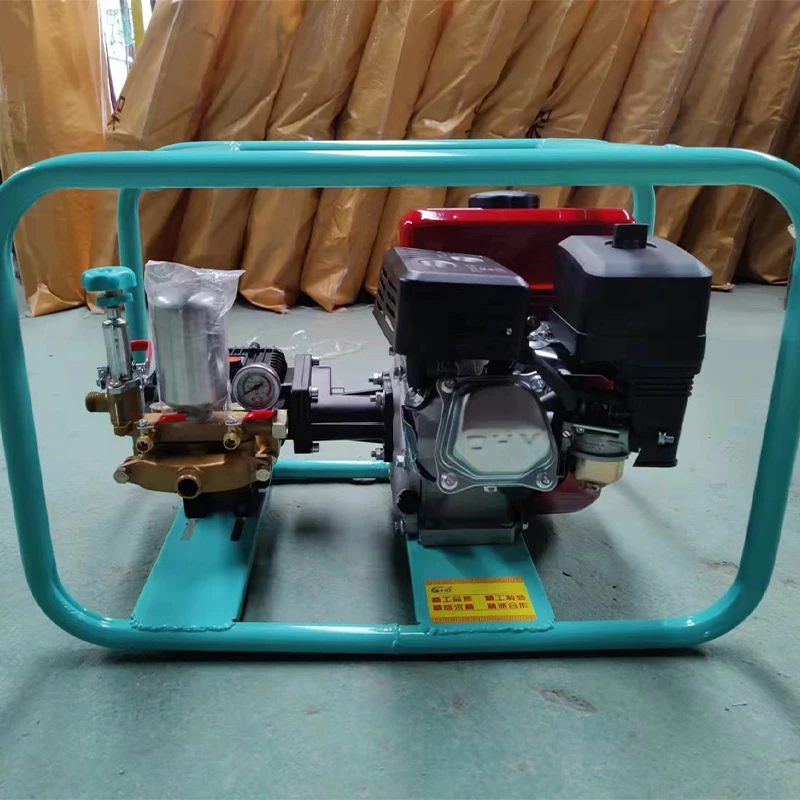 Agriculture Plant Planting Equipment Gasoline Engine Sprayer Pump Machine Custom Your Size