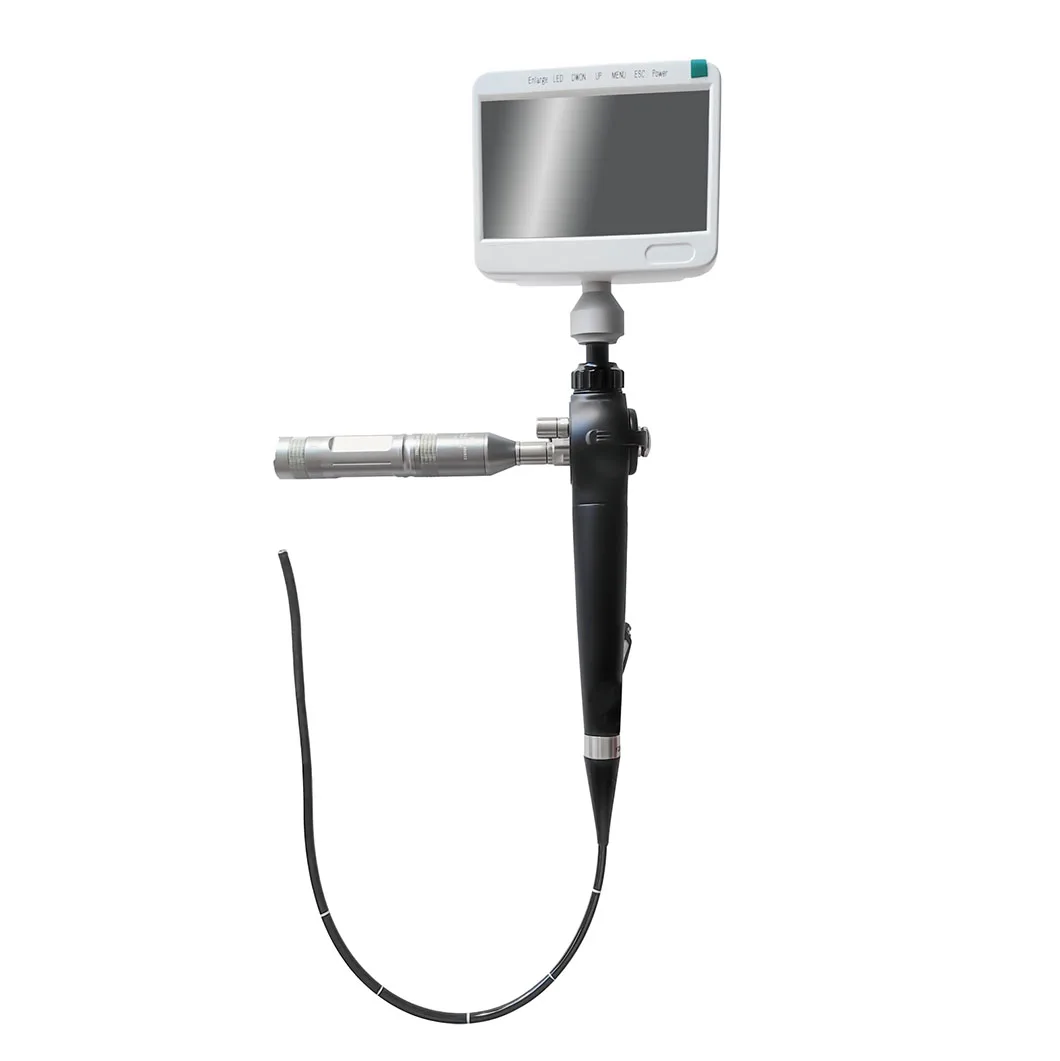 Hot Sale Small Digital Portable Handheld Flexible ENT Endoscope Camera Video Endoscope