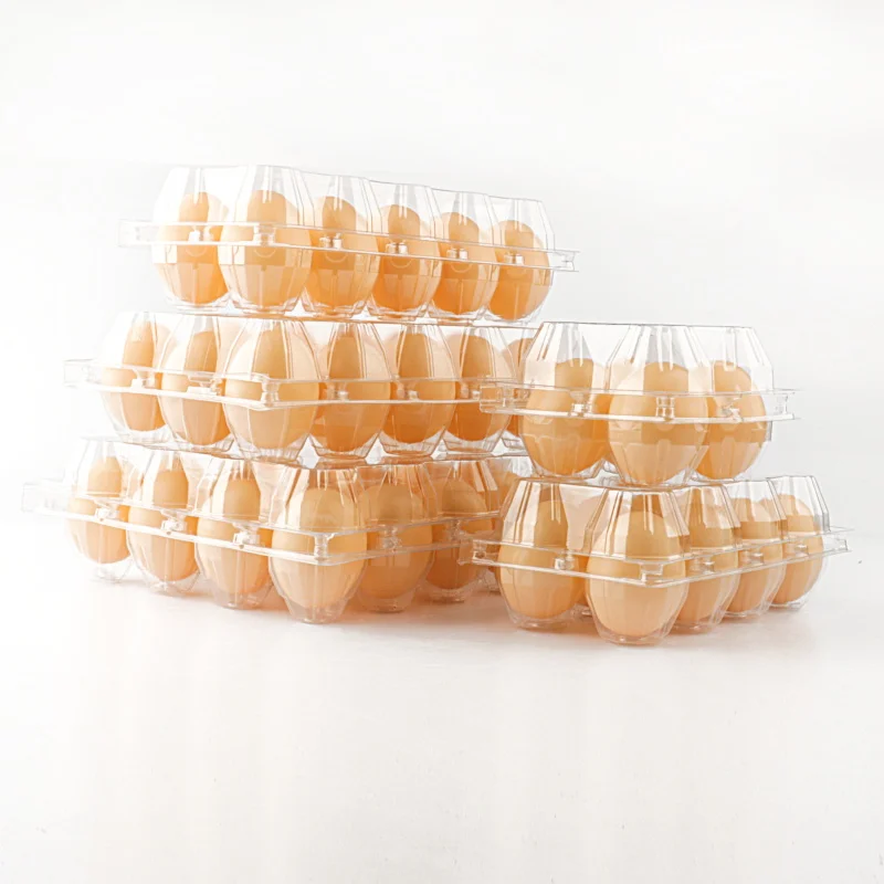 disposable pet egg trays with cover hot sale quail egg packaging tray/box/carton