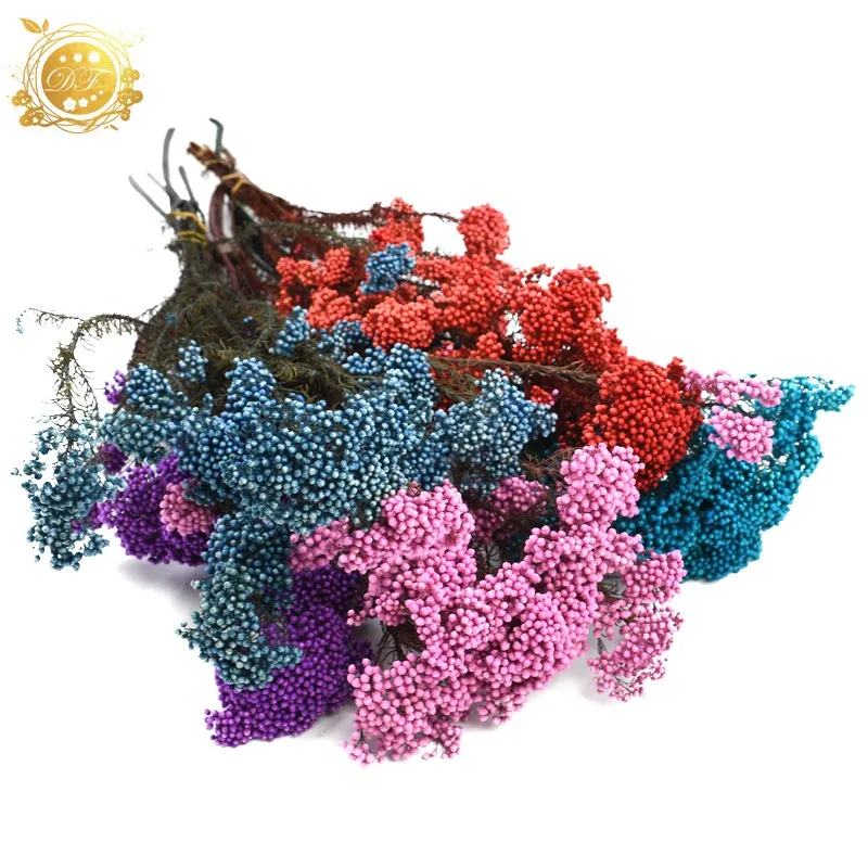 wholesale modern arrangement natural ozothamnus preserved rice flower for mother day flower