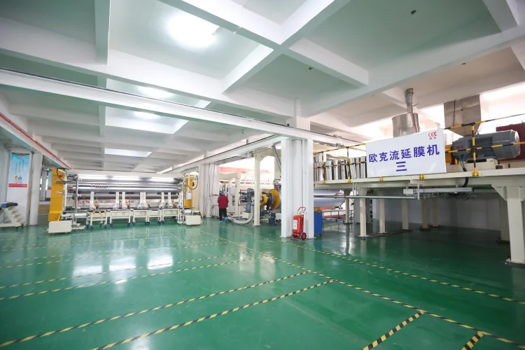 cast film machine-cpp