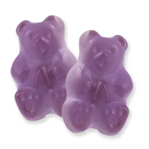 Immune Boost Multivitamin Natural Fruit Flavor Elderberry Gummies Bear