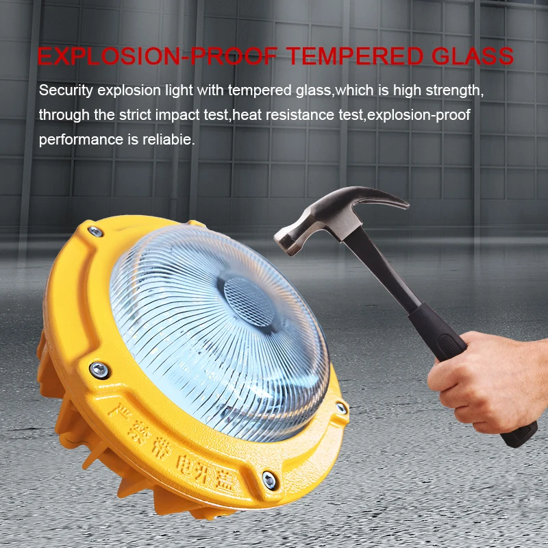 Industrial Two Heads Explosion Proof Emergency Lighting With Impact Resistance