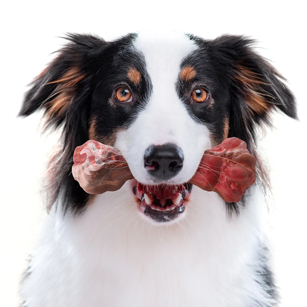 Natural Rubber Dog Pet Chew Toys Bone Shape Dog Toy