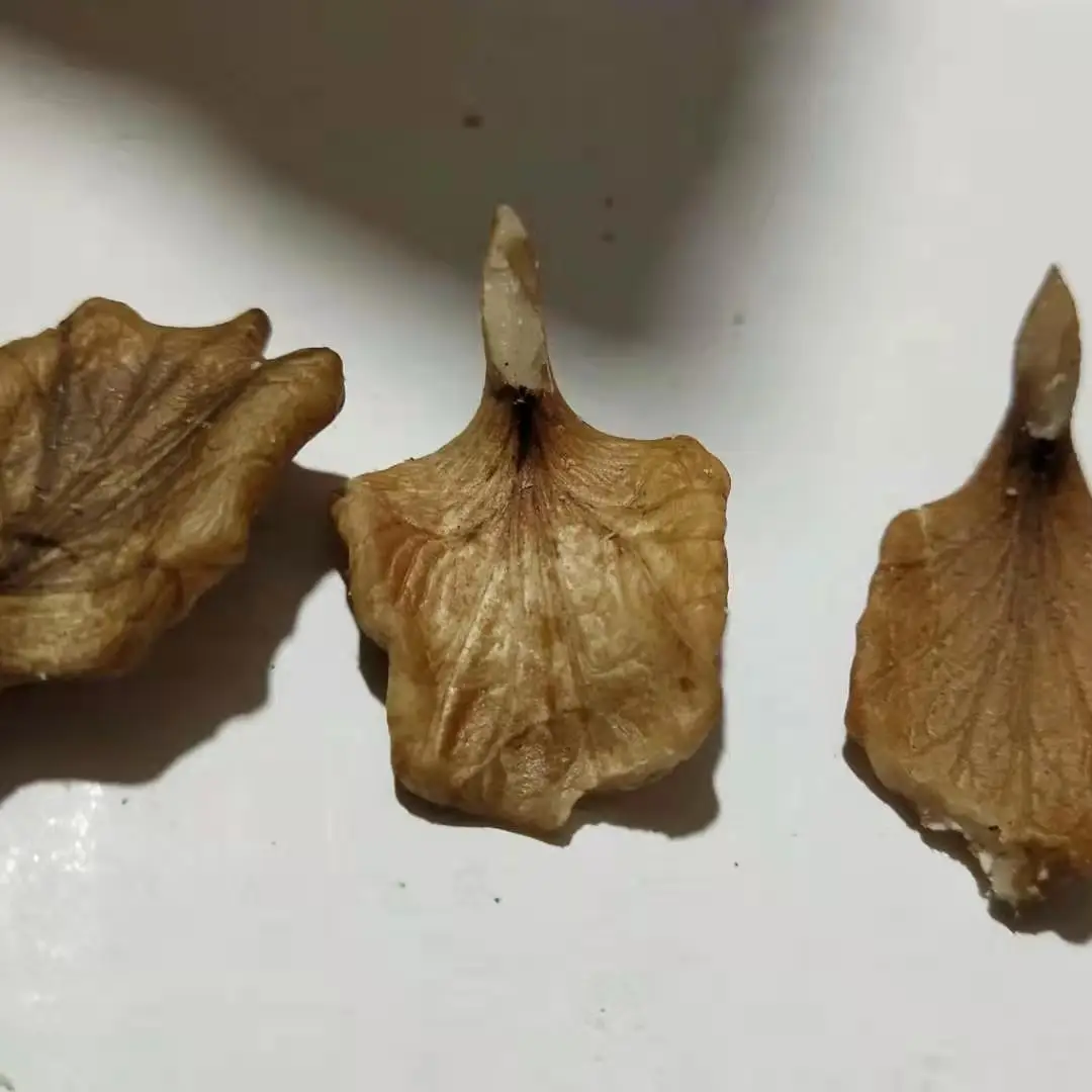 
Quality Assurance Anti-Inflammatory and Sterilizing Skin Care Raw Walnut Kernel 