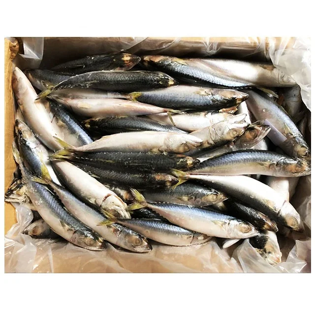  Горячая Распродажа замороженная Тихоокеанская скумбрия