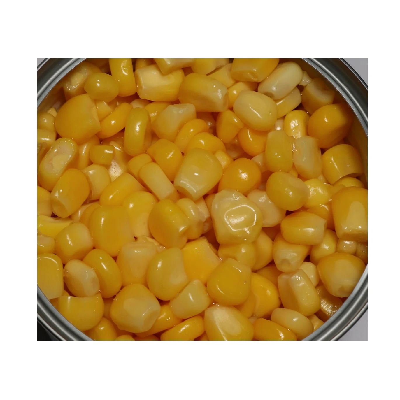 Corn Price King Yellow KOSHER Style Sunshine Color Deli Container Organic Animal Feed Yellow Corn Maize for Human Consumption