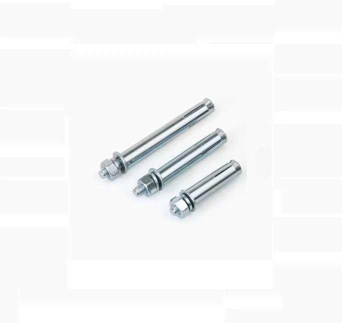Hollow Wall  Fasteners Elevator Bolt Type M6 M8 M10 Stainless Steel SS304 316 Door Frame Fixing Concrete Expansion Anchor Screws