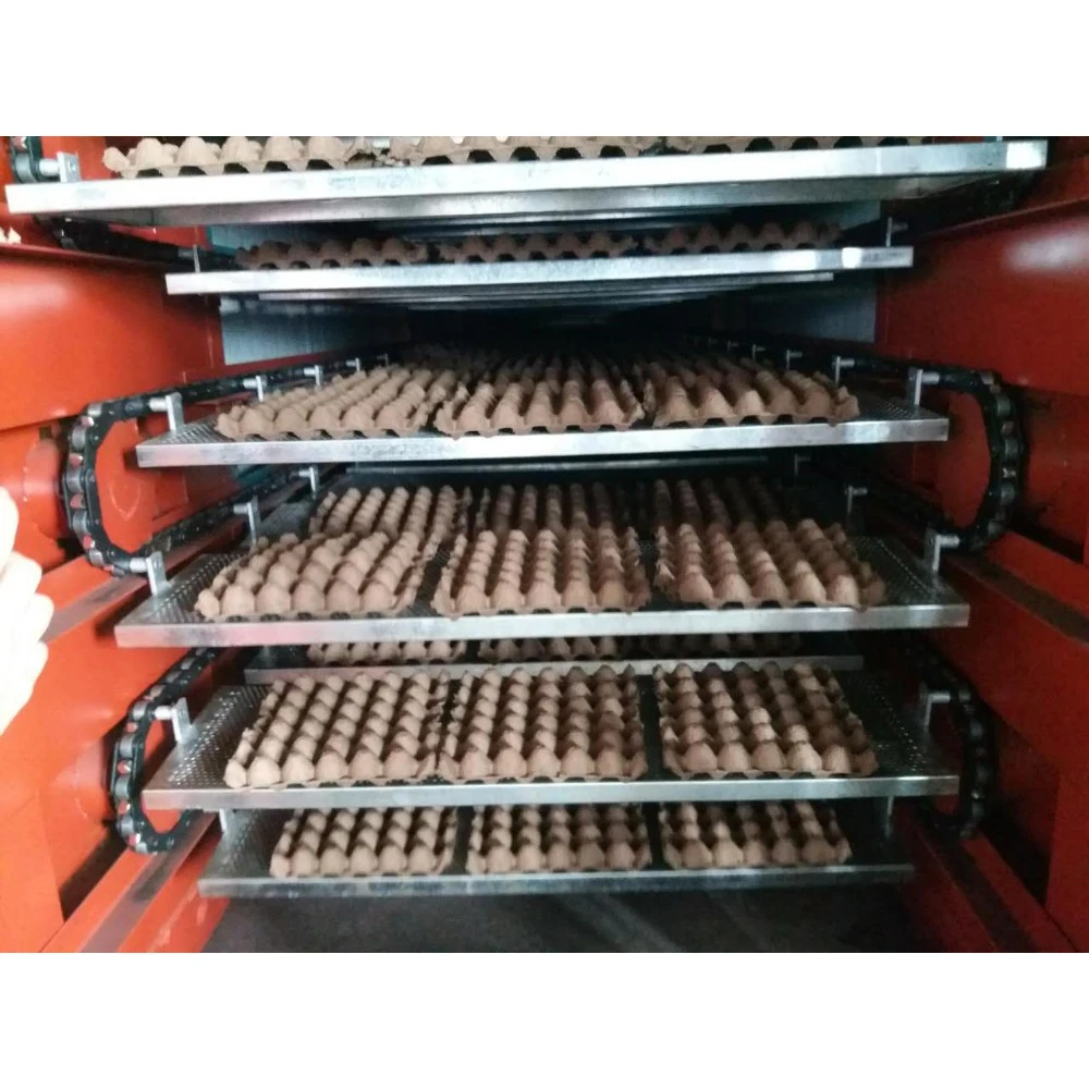 Low cost automatic paper recycling pulp egg tray production line