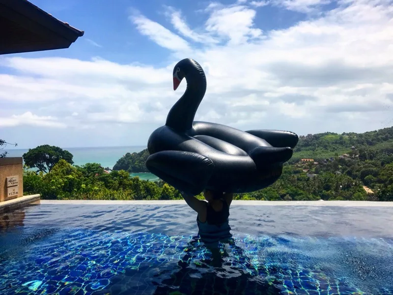 Summer Party Outdoor Water Recreation Swimming Pool Toys Black Swan Inflatable Ride-On Pool Float Island