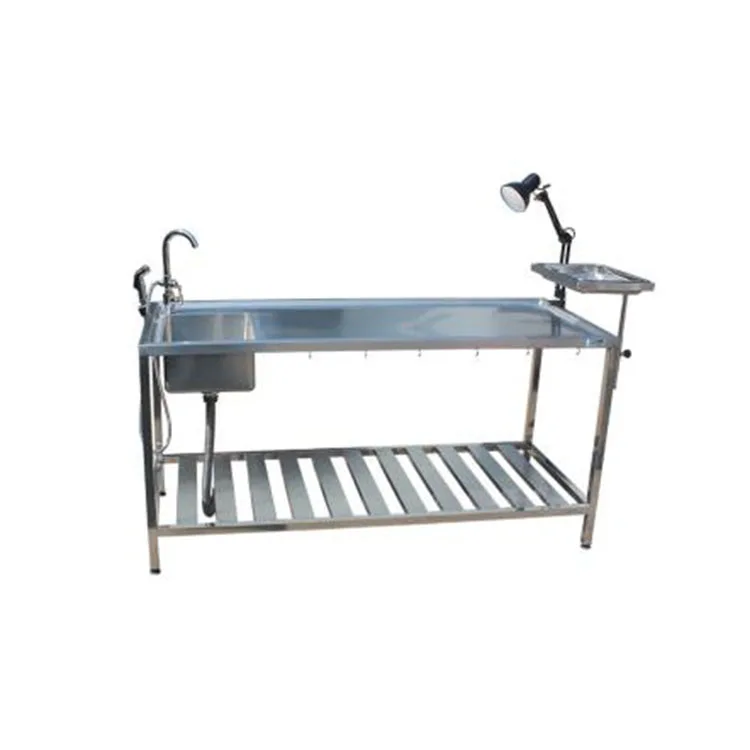 Hospital Clinic Dissection Pet 304 Stainless Steel Animal Veterinary Autopsy Table
