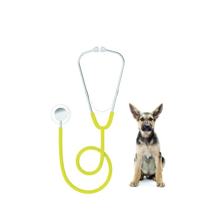 Contec SC21 double head single head stethoscope stainless steel Veterinary stethoscope