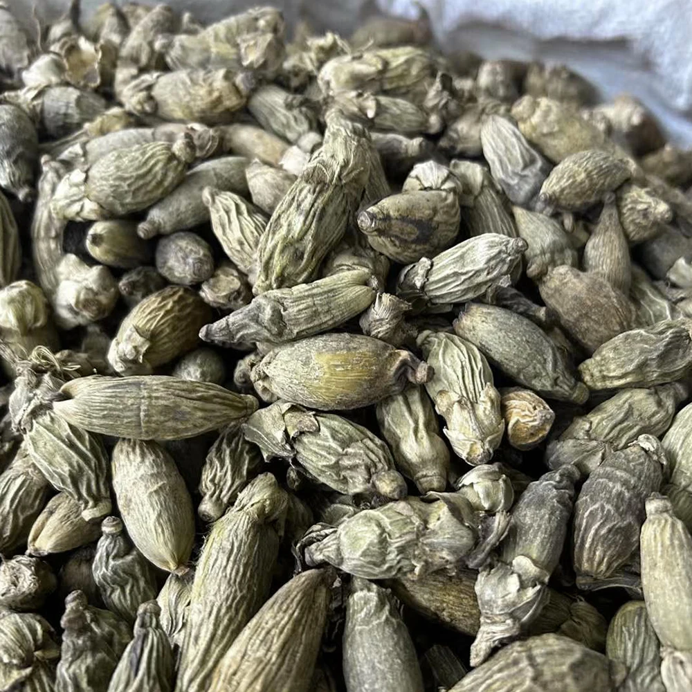 Wholesale nuts buyers betel nut areca catechu dried  areca-nut